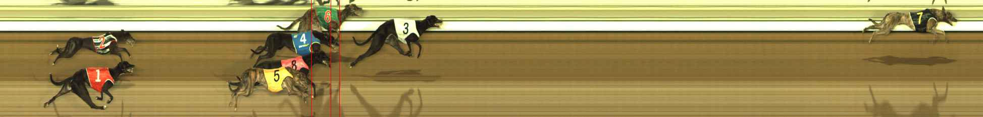 Race result finish photo